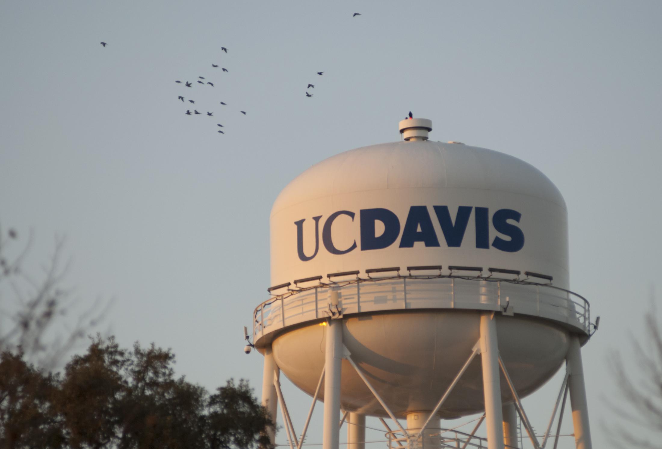 UC Davis Tower