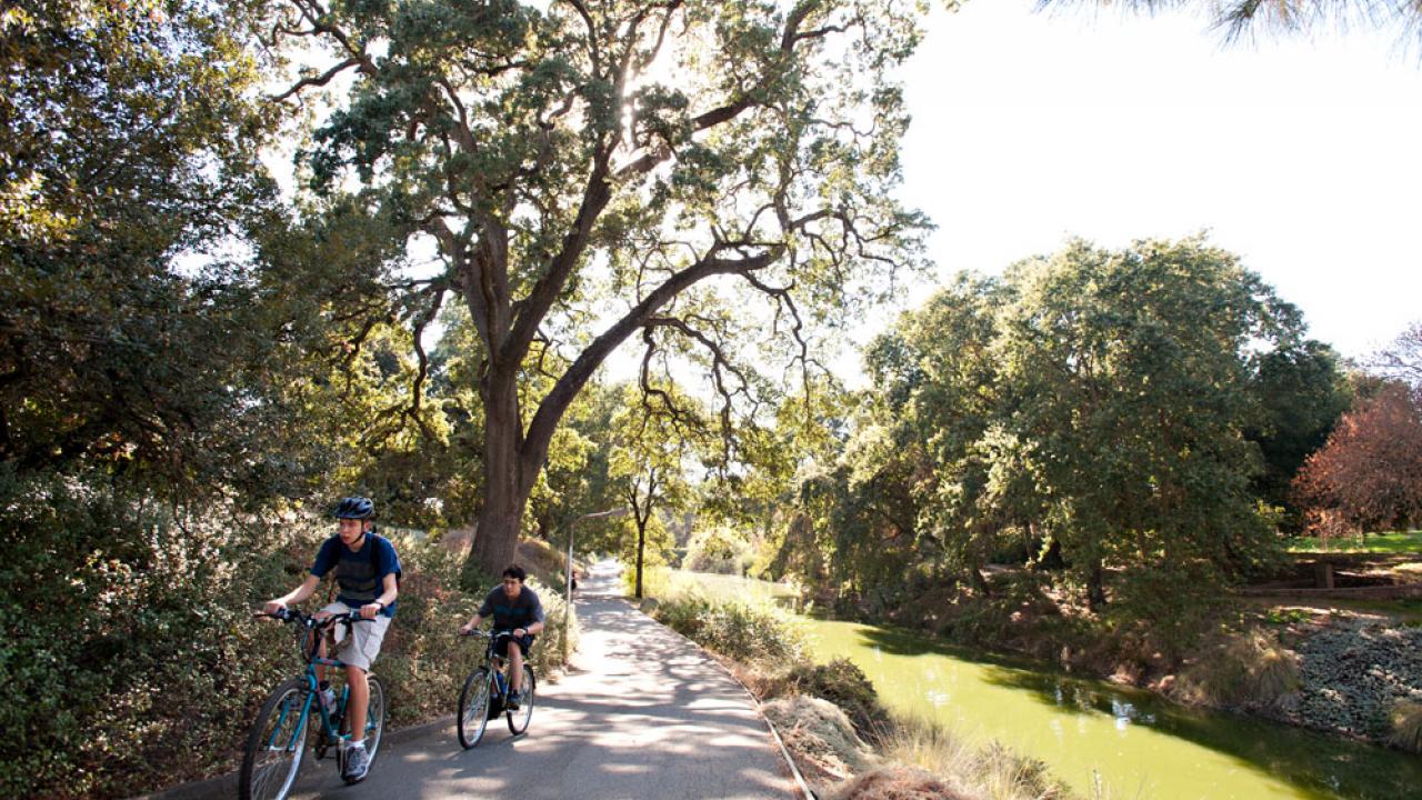 Residents riding bicycles in the Arboretum.