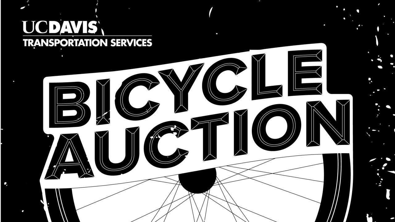 Fall Bicycle Auction