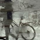 Bicycle Reflection
